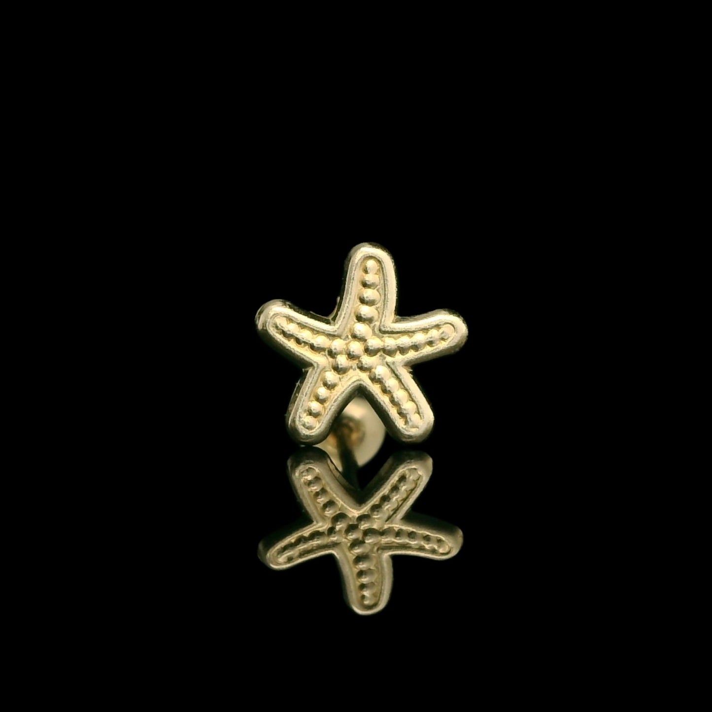 14K Gold Starfish Stud Earrings - 7mm